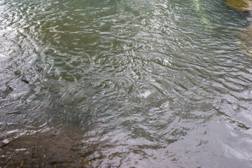 Flowing River Water Over Rocky Surface In Nature