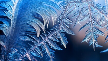 Macro image of ice crystal formations on a windowpane, showcasing abstract patterns and light refractions, highlighting the delicate and intricate frost details.
