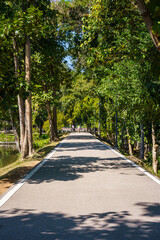 a public place leisure travel landscape lake views at Ang Kaew Chiang Mai University and Doi Suthep nature forest Mountain views spring cloudy sky background with white cloud.