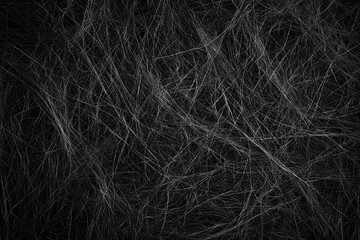 Obraz premium Dark tangled spiderweb texture background