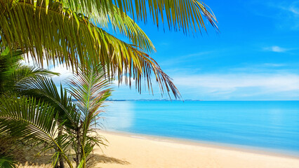 Fototapeta premium Sea beach landscape, paradise tropical island panorama, green coco palm tree leaves, turquoise ocean water, white sand, blue sky sunny day cloud, summer holidays, vacation, travel, Thailand, Koh Samui