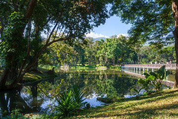 Fototapeta premium a public place leisure travel landscape lake views at Ang Kaew Chiang Mai University and Doi Suthep nature forest Mountain views spring cloudy sky background with white cloud.