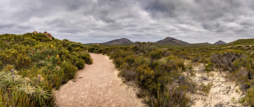 The walking trail between Hellfire Bay and Little Hellfire Bay, Cape le Grand National Park Western Australia.