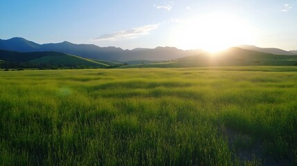 Fototapeta premium Golden Hour Sunlight Over Lush Green Fields in Mountainous Region : Generative AI