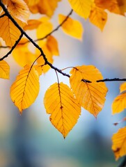 Closeup of vibrant yellow autumn leaves with intricate details capturing the essence of fall season : Generative AI