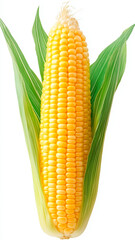 A vertical full corn, pure white background, product photography, fresh 4k, high resolution