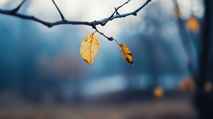Close up of autumn leaves on a blurred branch reflecting the tranquility of fall in soft colors : Generative AI