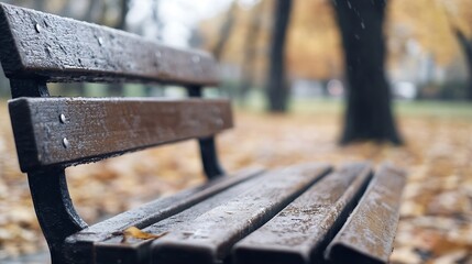 Fototapeta premium Quiet park bench surrounded by autumn colors and raindrops perfect for peaceful outdoor moments : Generative AI