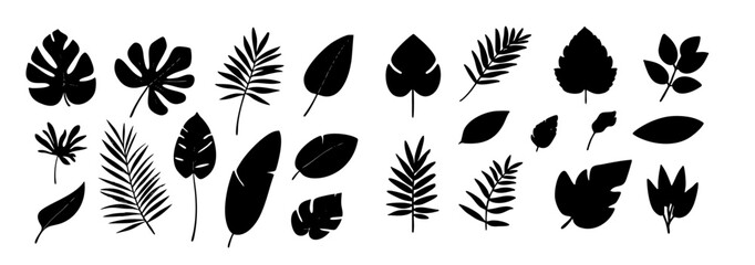 A graphic illustration of tropical leaves and palm fronds in a stylish, black vector outline
