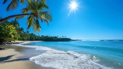 Sunny Tropical Beach Scene with Palm Trees and Clear Blue Ocean Waters : Generative AI