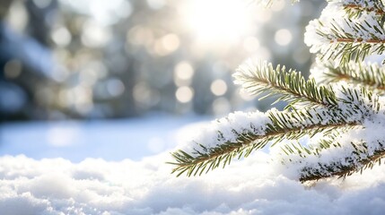 Sparkling winter snow scene with evergreen branches glistening under sunlight in a serene landscape : Generative AI