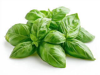 Fototapeta premium A stunning close-up of basil leaves highlighting their vibrant green and textured surface.