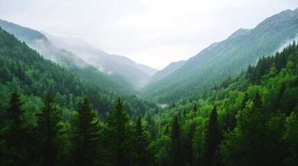 Obraz premium Breathtaking Valley Surrounded by Lush Green Trees Against a Misty Mountain Backdrop : Generative AI