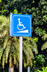 Blue Accessibility Sign with Wheelchair Symbol in Front of Lush Greenery and Palm Trees on a Sunny Day