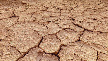 Cracked Dry Earth Texture Depicting Drought and Climate Change Impact on Arid Landscapes