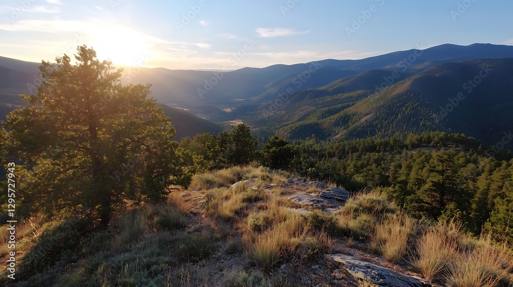 Poster golden hour view of rolling hills and pine trees with warm sun rays illuminating the landscape : gen