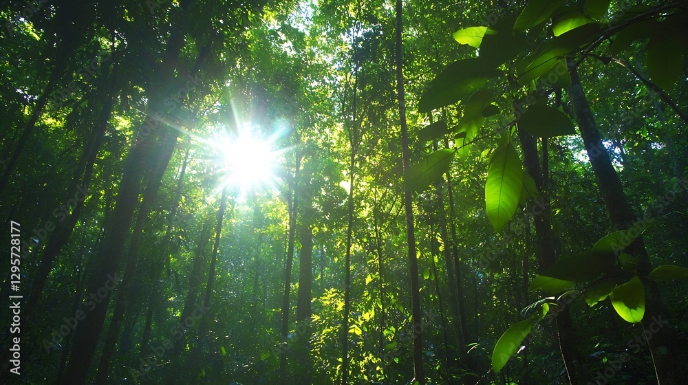 Aufkleber Sunlight filtering through the leaves of a dense forest creating a magical atmosphere : Generative AI
