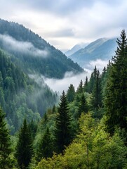 Breathtaking mountain valley filled with lush trees and misty clouds creating a serene atmosphere : Generative AI