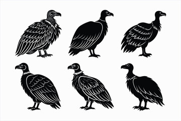 Fototapeta premium Set of condor bird vector illustration.