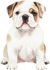 Obraz premium Adorable Watercolor Painting of a Young Bulldog Puppy Sitting