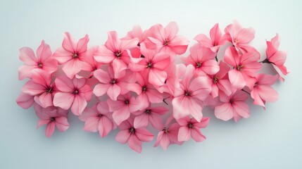 Vibrant Floral Arrangement Displayed from Above on Soft Background