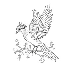 vector illustration of a bird