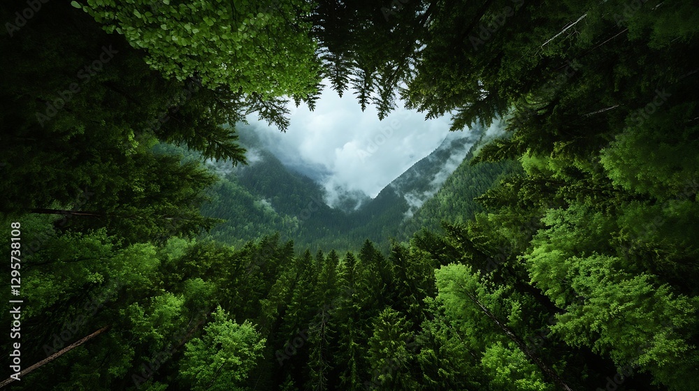 Poster aerial view of lush green forest surrounded by misty mountains under cloudy sky : generative ai