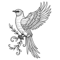 vector illustration of a bird