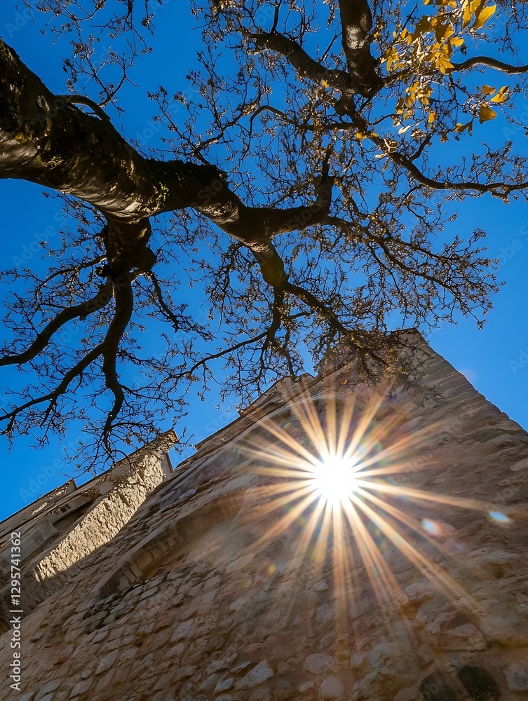 Poster stunning view of sun beams shining through tree branches against a clear blue sky backdrop : generat