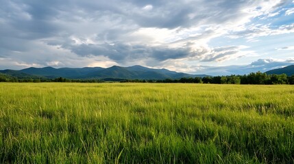Obraz premium Scenic Green Meadow Landscape Under Dramatic Cloudy Sky in Nature : Generative AI