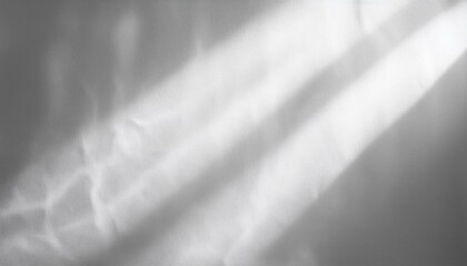 きらめく光と影