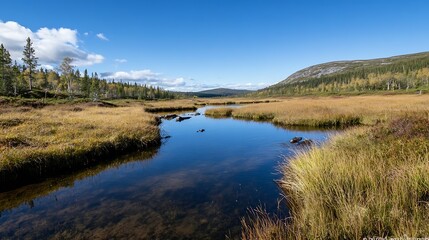 Breathtaking Landscape of Serene River Amidst Golden Grass and Lush Forest under Blue Sky : Generative AI