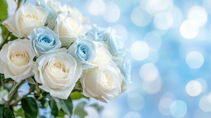 Fototapeta premium Bouquet arrangement floral shop close-up elegant setting macro view white and blue roses