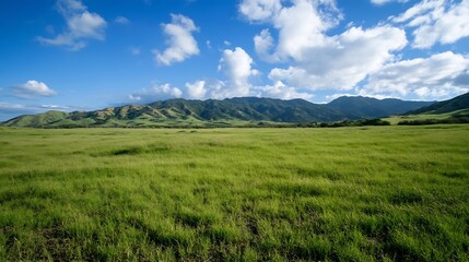 Expansive Green Field Under a Blue Sky with Scenic Mountains : Generative AI
