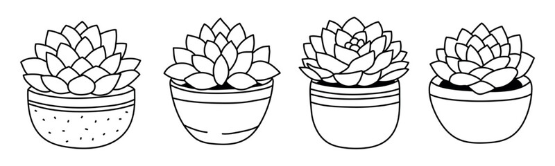 Succulent Doodle Plant set in clay pot isolated on white background