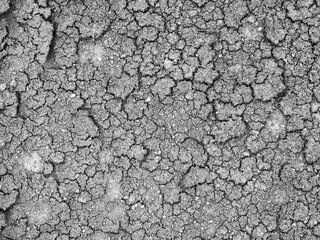 Cracked ground texture background. Dried earth with clay and sand
