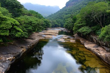 Crystal-clear mountain river flowing over smooth stones, surrounded by lush green forest, refreshing and vibrant nature scene