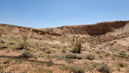 beautiful landscape of the desert
