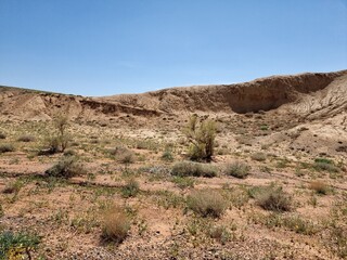 Amazing landscape of nature. Sunny day in desert. 