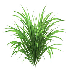 Obraz premium Clump of Green Grass Cutout on Transparent Background
