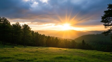 Fototapeta premium Breathtaking Sunset Over Rolling Hills Surrounded by Lush Green Pine Trees : Generative AI