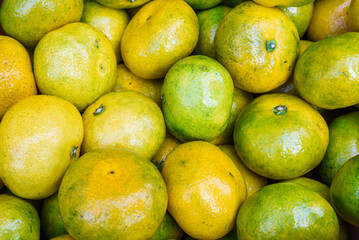 Close-up of Freshly Harvested Mandarin Oranges