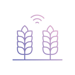 Wheat vector icon 