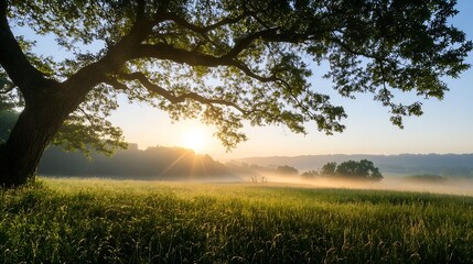 Fototapeta premium Serene Sunrise Over a Misty Horizon with Silhouetted Tree : Generative AI