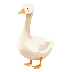 Cute goose in watercolor style. Hand drawn farm animals. Watercolor goose