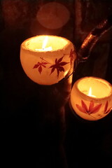 小樽運河　北海道　小樽市　雪明かりの路　ランタン　夜景　