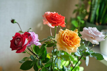 Red, orange and yellow in a vase. Close up