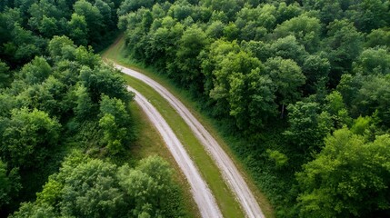 Fototapeta premium Aerial View of Winding Dirt Path Through Lush Green Forest Landscape : Generative AI