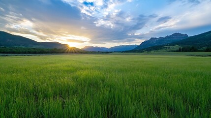 Obraz premium Golden Sunset Over Lush Green Field and Majestic Mountains in Distance : Generative AI