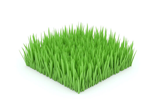 3D rendering grassy area vibrant green freshly cut white bg